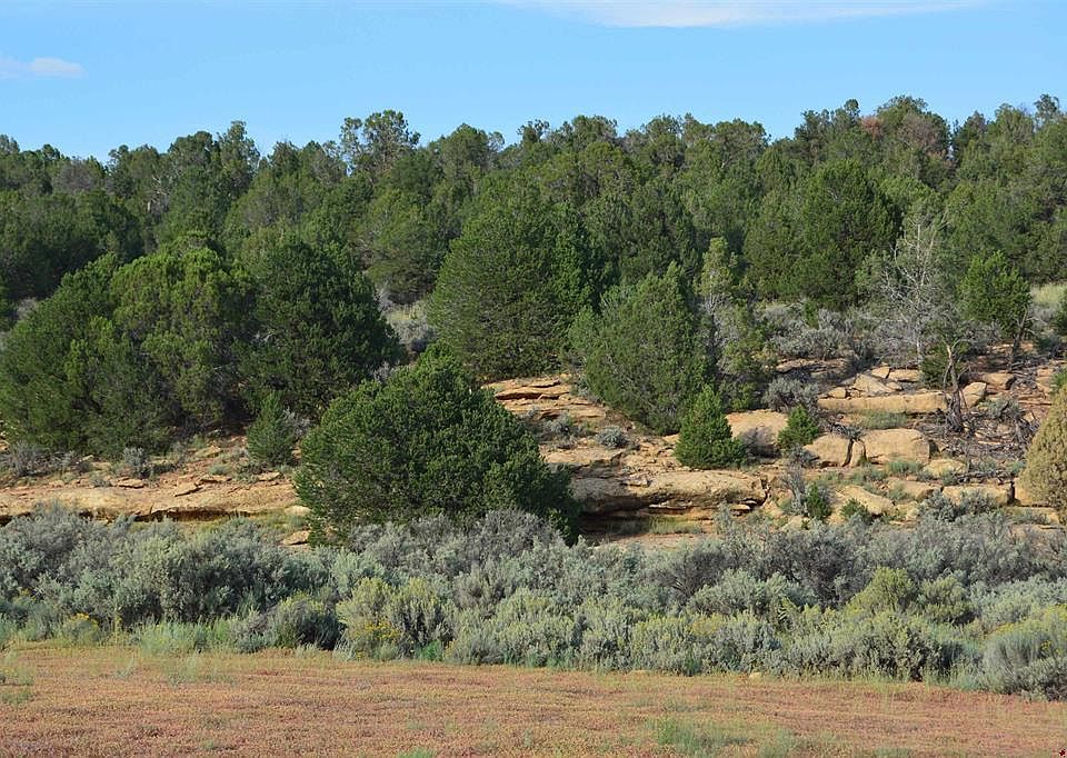 1st image of TBD County Road 109