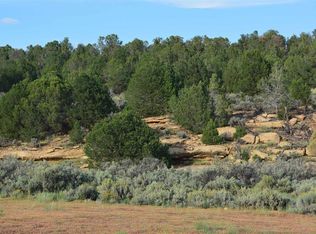 County Road 109, Hesperus, CO 81326