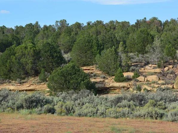 TBD County Road 109, Hesperus, CO 81326