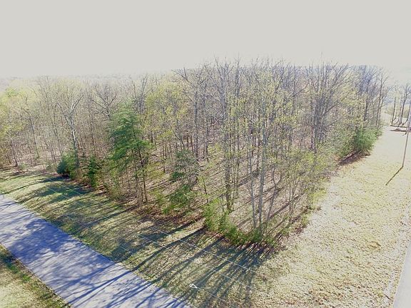 4th image of 291 Mustang Dr