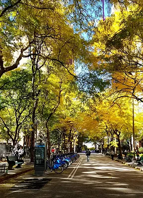 Sold by R New York | media 1
