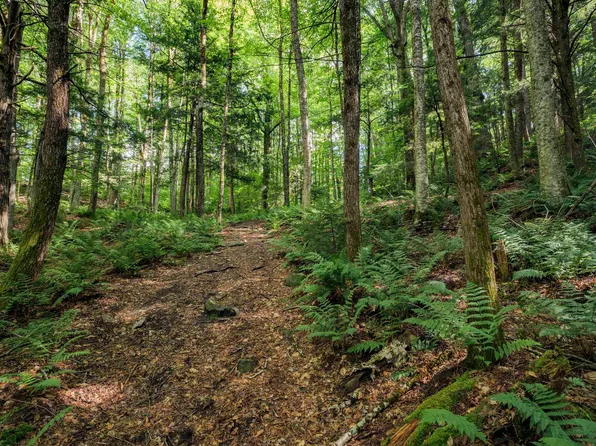00 Ryder Pond Road, Whitingham, VT 05361