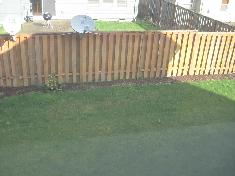 Backyard 1