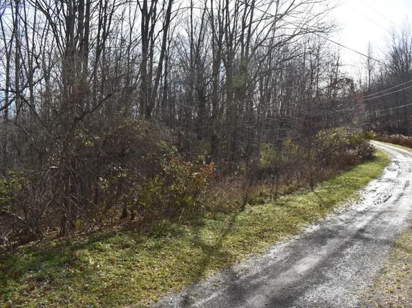 0 Meadow Brook Dr, Margaretville, NY 12455