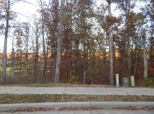 111 Pinehurst Ct, Branson, MO 65616