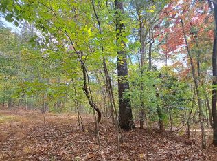 185 Rolling Hills Trl #1, Ellijay, GA 30540