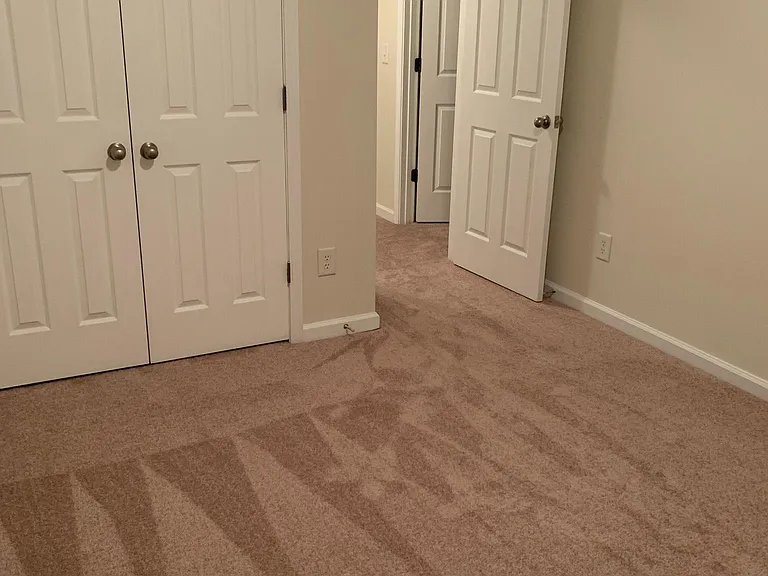 245 Linden Park Ln — Photo 22