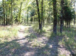 400 Rs County Rd #3351, Emory, TX 75440