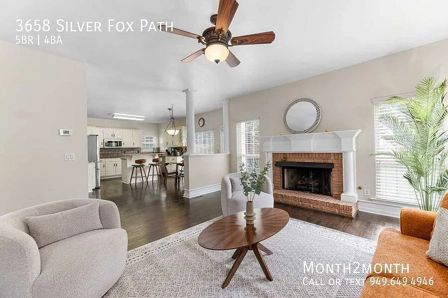 Modern Elegance on Silver fox path — Photo 3