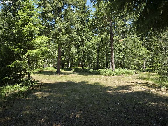 5th image of Loowit Ln