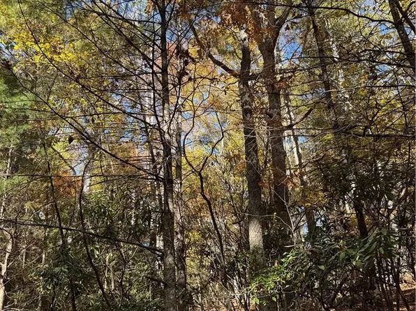 TBD W Seventy Sixth Drive, West Jefferson, NC 28694