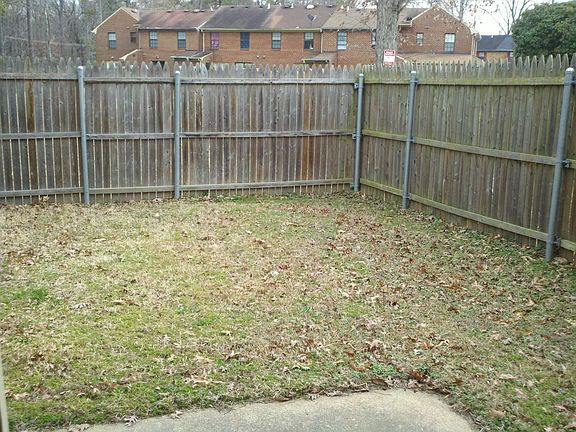 rear yard_06172014