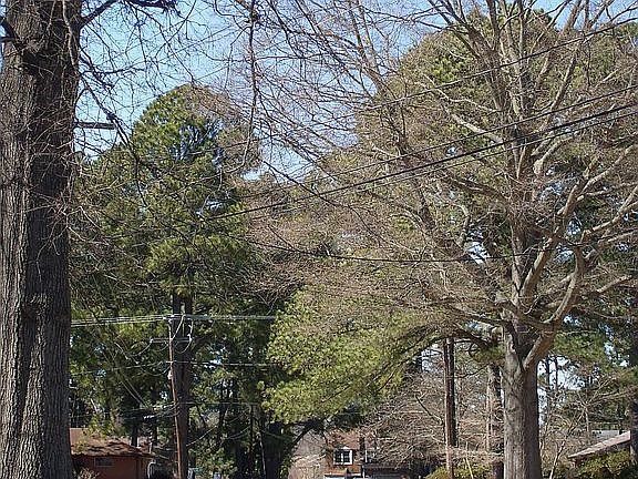 3rd image of 3205 Leslie Ct