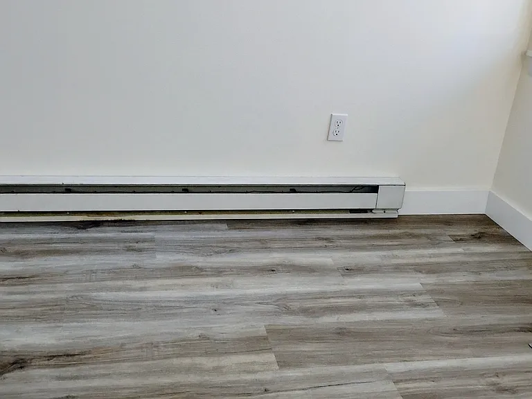Bonus 6' Electric Baseboard Heater with it's own thermostat. Silent heat.