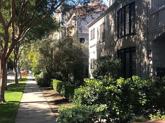 Tree lined serene street
