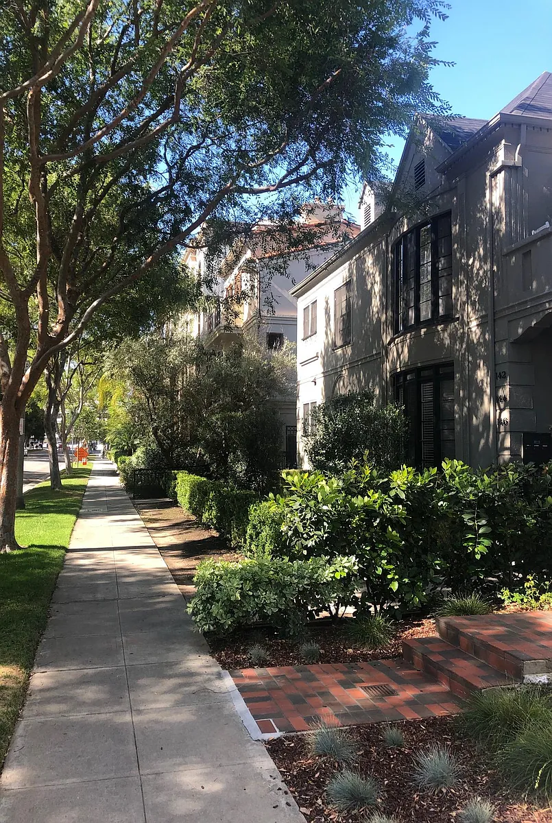 Tree lined serene street - 144 S Crescent Dr