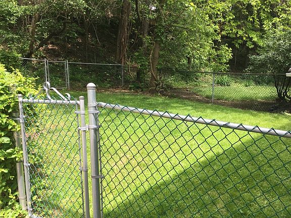 shared back yard