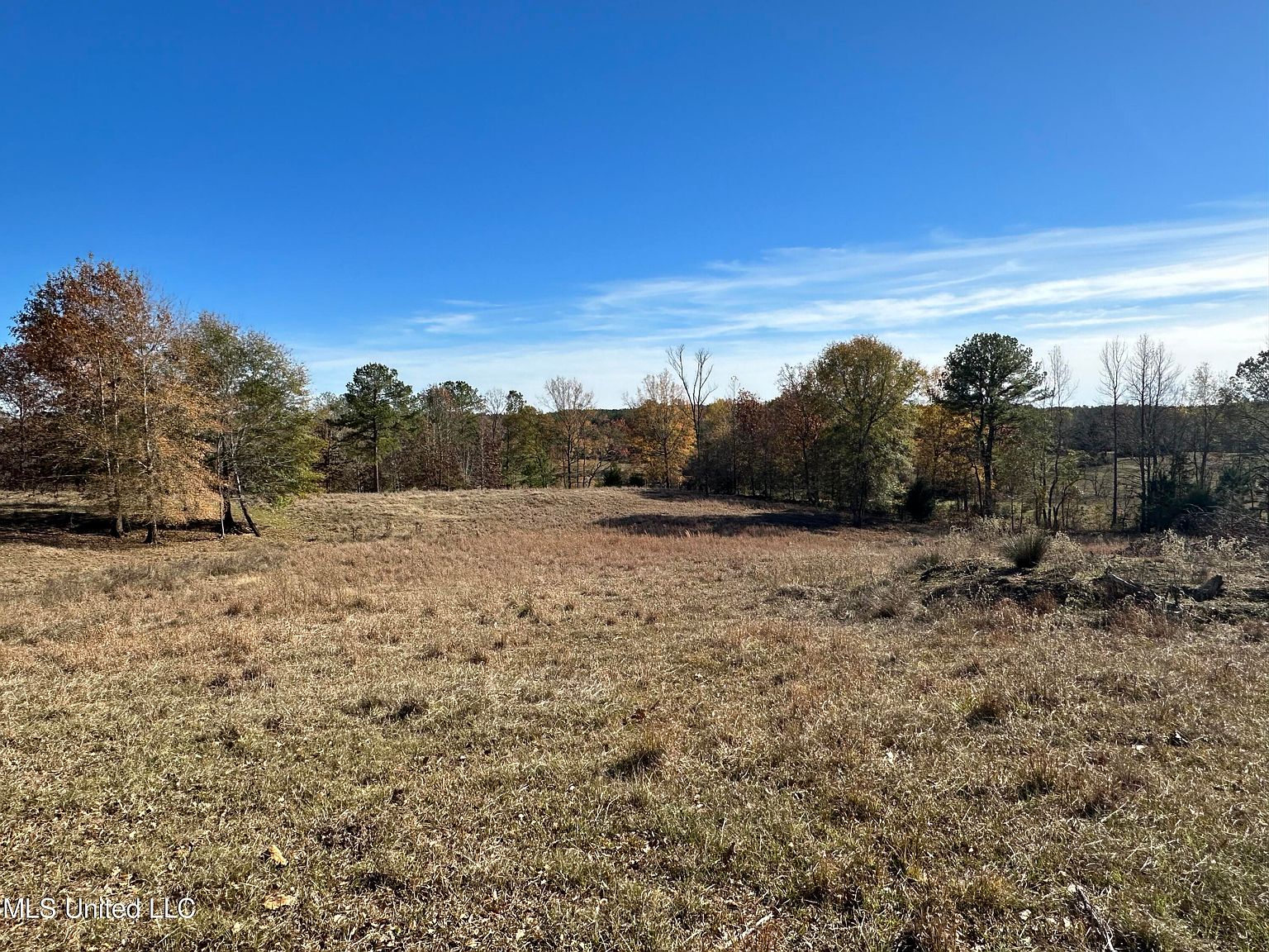 3115 Attala Rd 4007, Sallis, MS 39160 Zillow