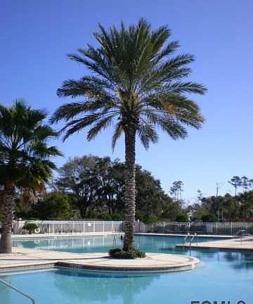 5th image of 1 S Lakewalk Dr