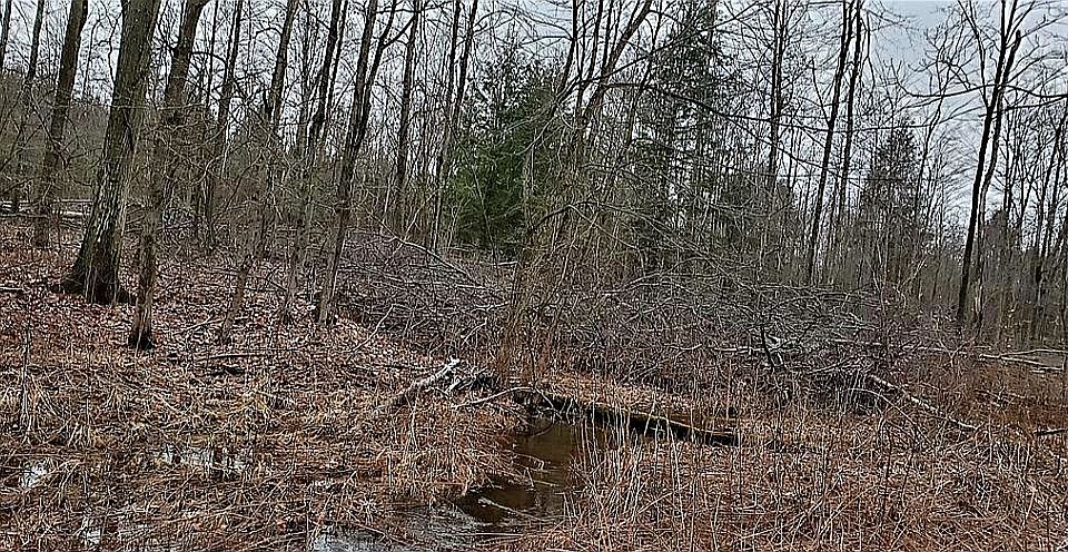 2nd image of 1400 Buells Corners Rd