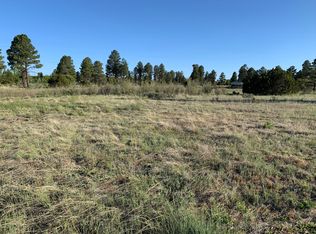 2251 Page Dr, Overgaard, AZ 85933