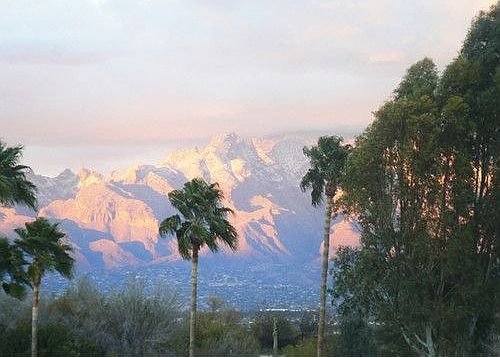 4th image of 2860 W Desert Crest Dr