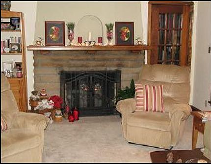 Gas fireplace