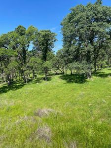 Oak Grove Ct, Browns Valley, CA, 95918
