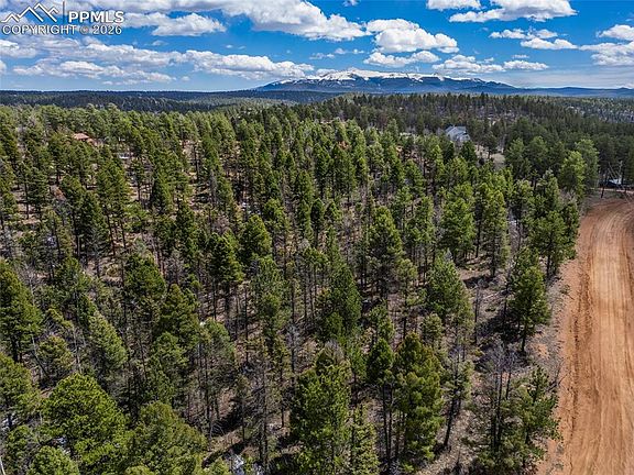 5th image of 451 Chipeta Creek Trl