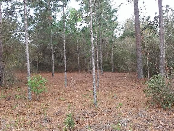 Bldg. lot adjoining pasture