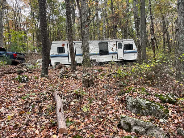 53 Bear Trak, Gap Mills, WV 24941