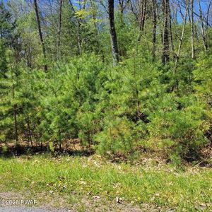 66 Decker Creek Dr, Hawley, PA, 18428