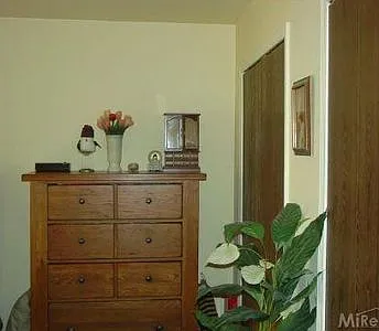 2 bed, 886 sqft, $1,250 — Photo 2
