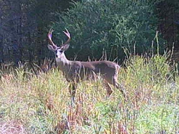 5th image of 930 Browns Bridge Rd
