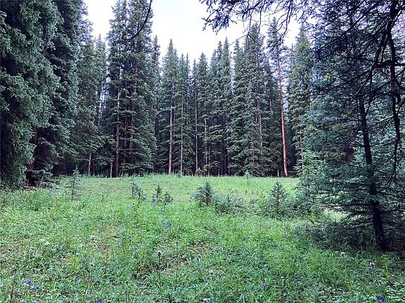 3rd image of 3330 Shiloh