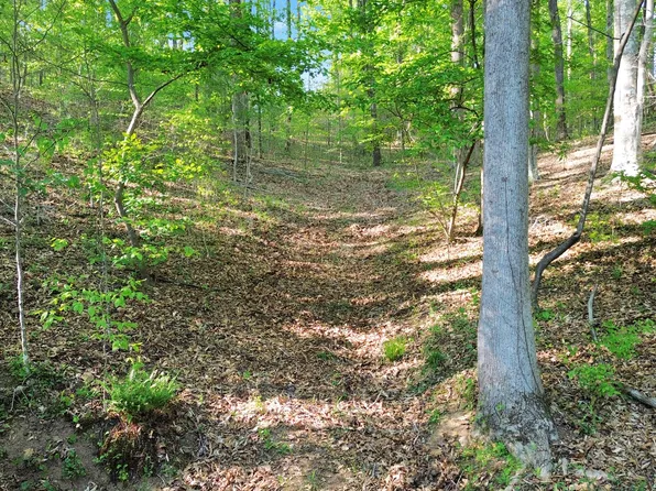 0 Flanagan Mill Rd, Auburn, GA 30011