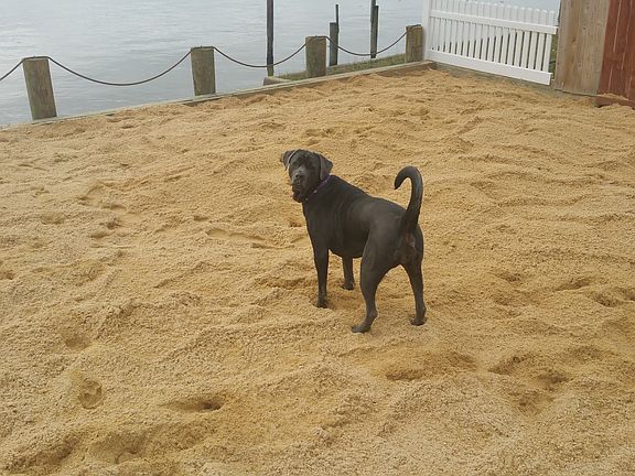Beach made from fresh sand delivered