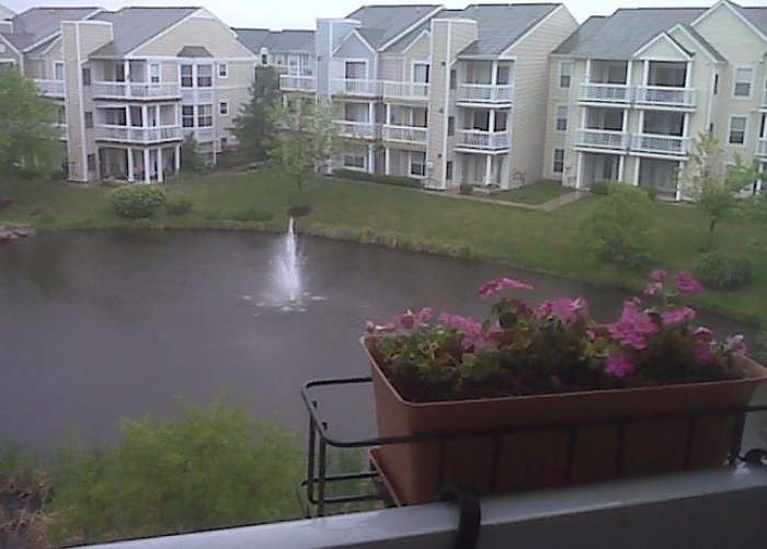 Balcony View