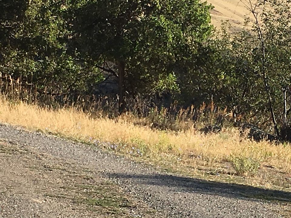 2nd image of 150 Shingle Creek Rd