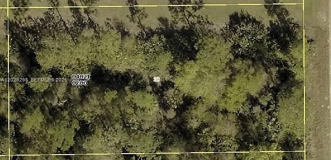 1st image of 915 Acacia Ave