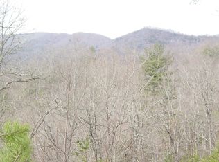 13 Spaniard Point Rd, Hiawassee, GA 30546