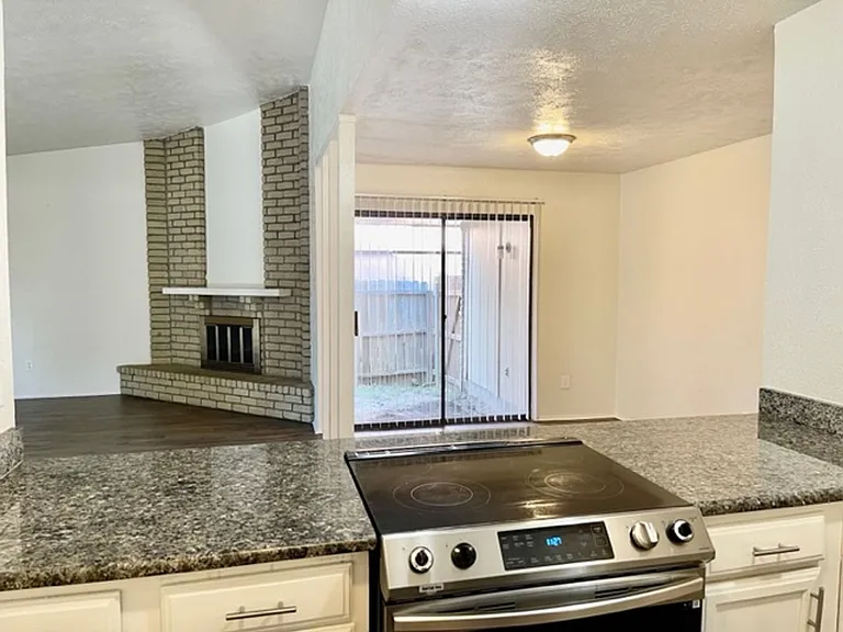 4020 Blue Flag Ln — Photo 8