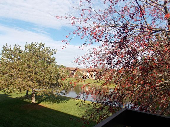 2nd image of 33693 Pondview Cir