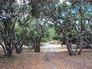 2nd image of 31 Tehama
