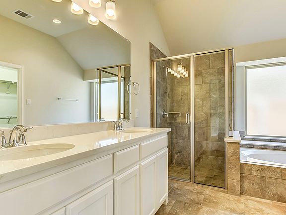 Luxurious master bath