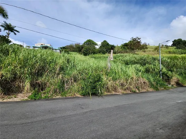 Urb Valle Imperio Lote #5, Bayamon, PR 00957