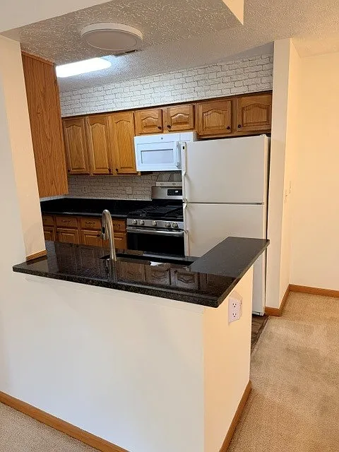 2 bed, 1100 sqft, $1,375 — Photo 3