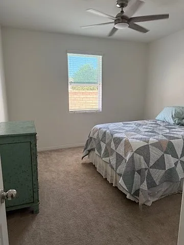 30111 Sunset Pier Dr — Photo 19