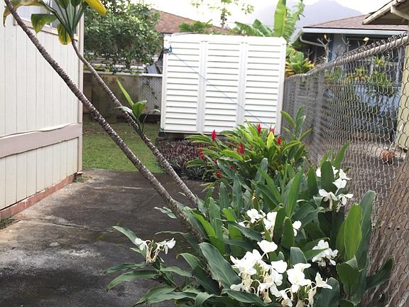Side yard with foliage