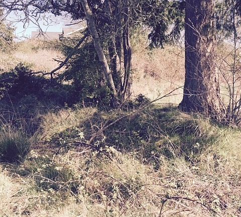 3rd image of 0 Lot 10 Dunlap Drive